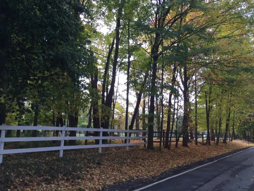 Kenwood OH